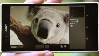 Il koala che amava i selfie