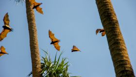 Come riconoscere un vampiro affettivo