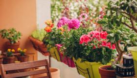 Consigli per un balcone fiorito tutto l’anno