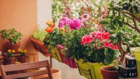Balcone fiorito