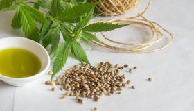 Canapa, perché i suoi semi ci fanno così bene