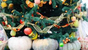 Tutta la frutta e verdura da gustare a dicembre