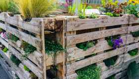 Come creare un orto verticale in casa e sul balcone