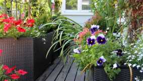 Balcone fiorito