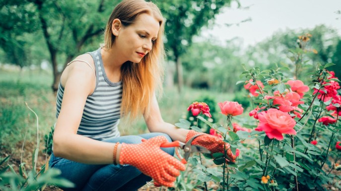Giardinaggio fa da te: 10 indispensabili per curare il giardino a primavera
