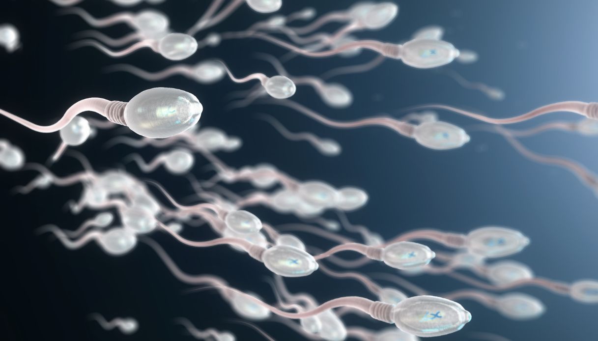 Spermatozoi: 10 cose che non sapevi