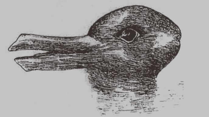 Anatra o coniglio? Quello che vedi dice molto di te