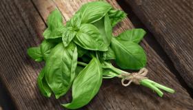 Come conservare il basilico: metodi semplici e geniali