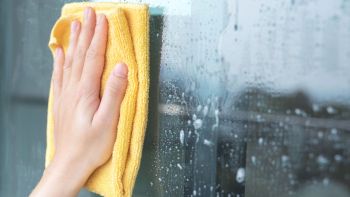 Come pulire i vetri senza lasciare aloni: gli errori da non commettere e i  prodotti da usare