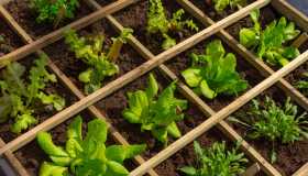Cinque soluzioni per coltivare l’orto in spazi ristretti