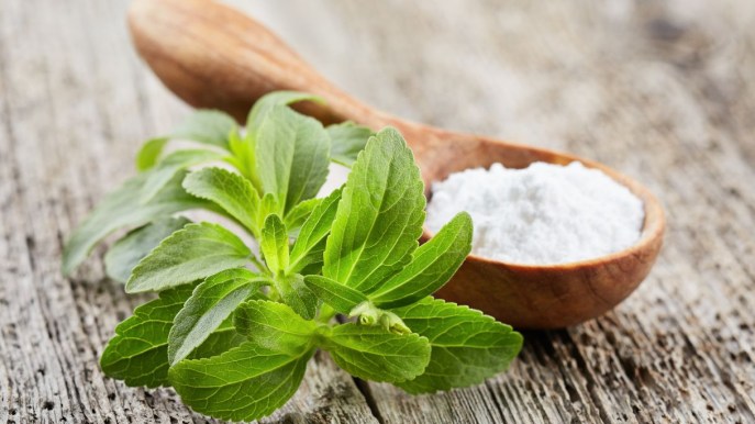 Stevia: proprietà e controindicazioni del dolcificante
