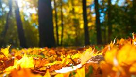 Autunno con i bambini, una stagione tutta da scoprire