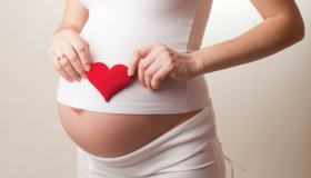 La gravidanza: sedicesima settimana