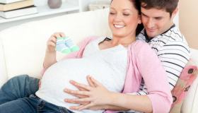 La gravidanza: ventitreesima settimana