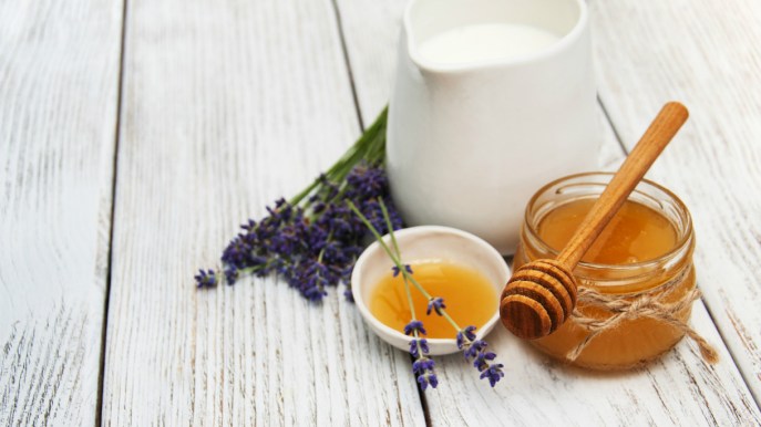 Latte caldo e miele: benefici, proprietà e falsi miti da sfatare