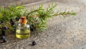 Olio essenziale di ginepro: proprietà, benefici e come si usa