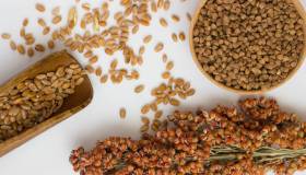 Cereali alternativi: sorgo, freekeh, bulgur, grano saraceno, teff