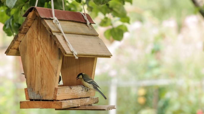 Mangiatoie per uccellini: 5 irresistibili idee fai da te