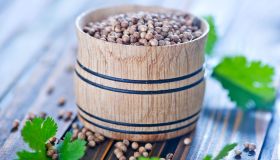 Coriandolo: proprietà, come si usa e come coltivarlo