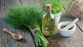 Aneto: sai come utilizzare questa erba aromatica in cucina?