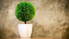 Come arredare un appartamento con le piante artificiali