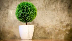 Come-arredare-un-appartamento-con-le-piante-artificiali