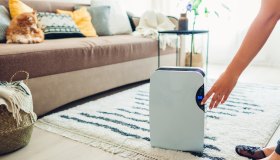Umidificatore, deumidificatore o purificatore d’aria: di cosa ha bisogno la tua casa