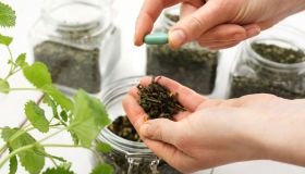 Interazioni tra rimedi erboristici e farmaci: cosa c’è da sapere