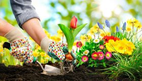5 regole per avere un giardino sempre rigoglioso