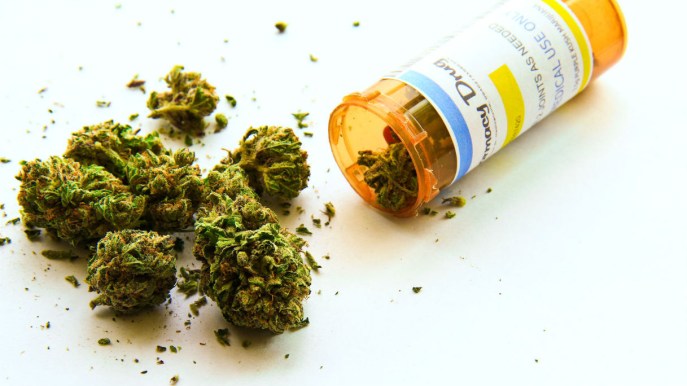 Cannabis terapeutica, come funziona e per cosa si usa