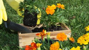 Arredare la casa: come realizzare vasi da fiori fatti a mano