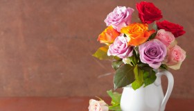 Come far durare più a lungo i fiori recisi