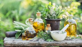 Piante medicinali: come coltivarle in casa