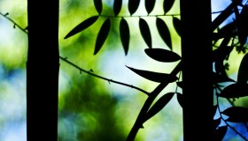 Cromoterapia: come funziona, benefici e significato dei colori