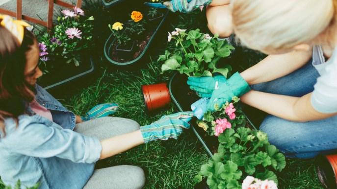 Regali per appassionati di giardinaggio: i più utili