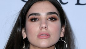 Dua Lipa, nuova regina del pop. 15 cose da sapere