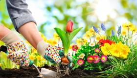 Come creare un’aiuola di sassi