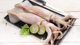 Che differenza c’è tra calamari e totani