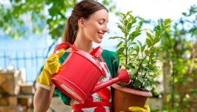 Vacanze: come annaffiare le piante (anche se non ci sei)