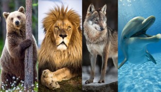 La vostra storia durerà? I segnali per capirlo