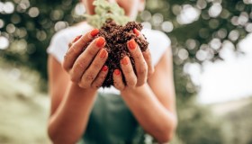 Nuova vita per la placenta: così le mamme la usano per piantare alberi