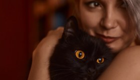 Perché il gatto è sempre stato associato alle streghe?