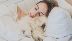 Cani sul letto: sì o no? L’abbiamo chiesto all’esperto