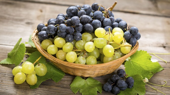 La dieta dell’uva o ampeloterapia. Cosa mangiare durante la giornata