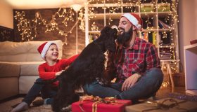 Cenone di Natale a 4 zampe: i consigli per il loro benessere