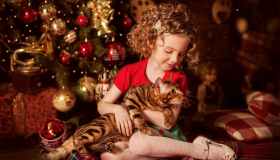 Un cucciolo sotto l’albero, ecco 6 utili consigli