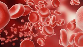 anemia mediterranea