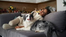 Tutti i modi in cui i cani fanno bene agli umani, dai più conosciuti ai più curiosi