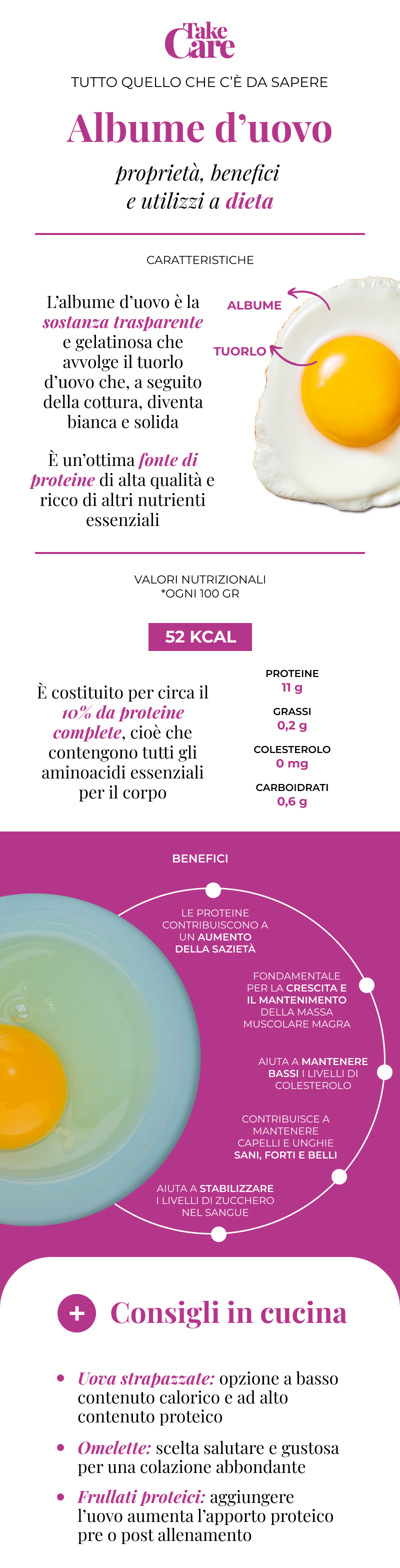 Infografica sull'albume dell'uovo