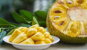 Jackfruit: perché mangiare il frutto più grande del mondo